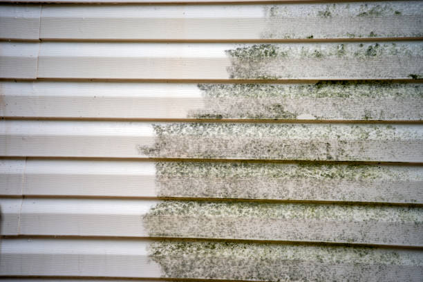 Best Moving and Downsizing Cleanouts  in Fort Plain, NY