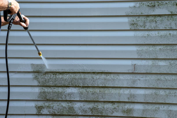 Best Hoarding Cleanup  in Fort Plain, NY